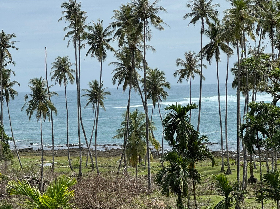 Mahi Mahi Surf Resort主图