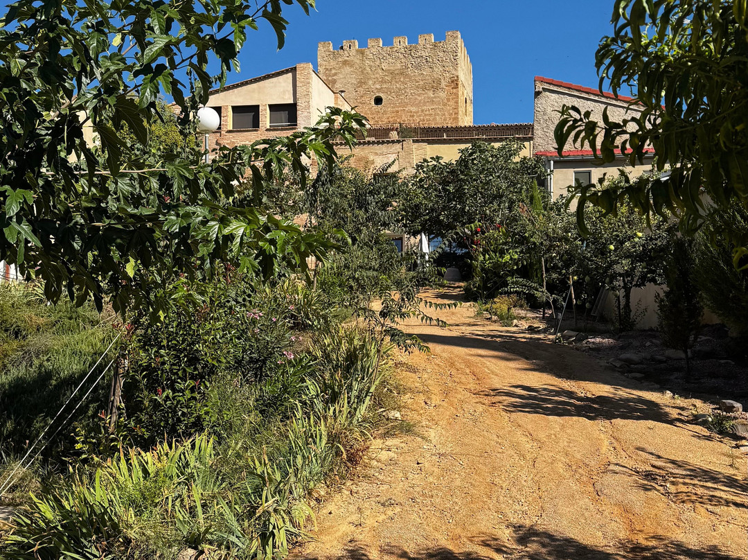 Castillo de Bulbuente-Bulbuente必去景点