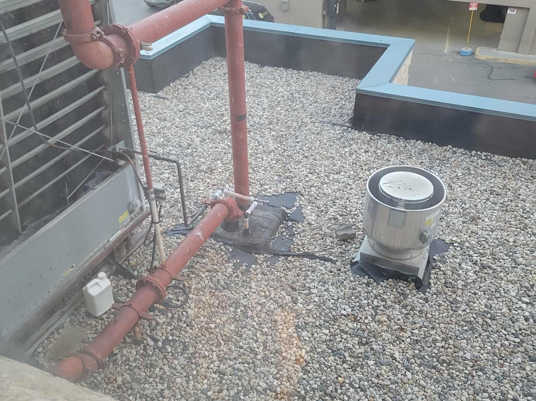 Park Town Hotel主图