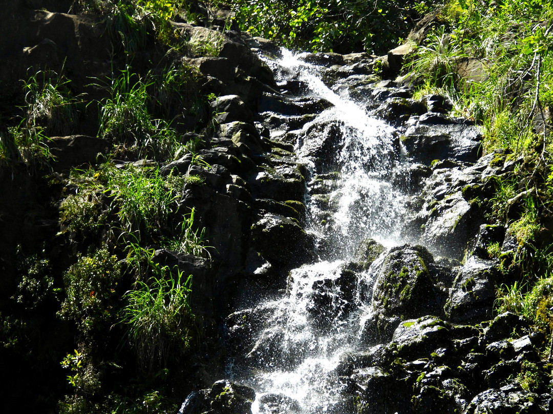 Experience Hawaii Tours-毛伊岛必去景点