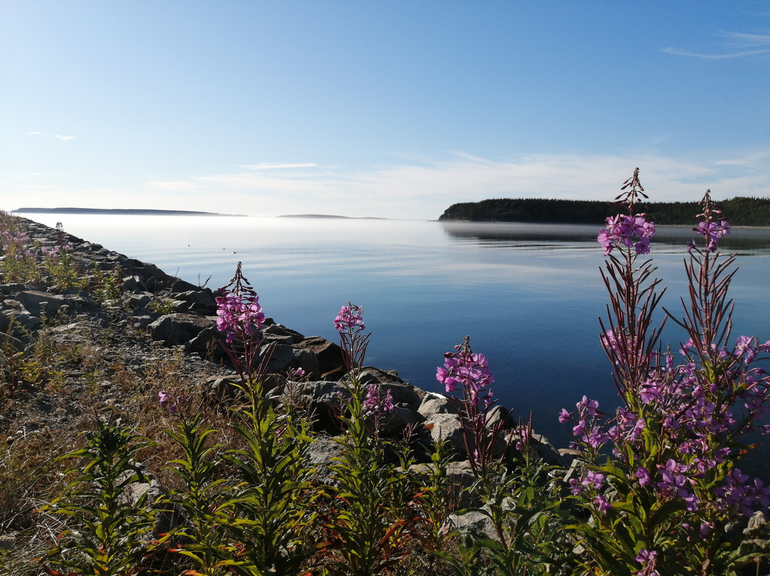 Services Maritimes Boreale-Havre St. Pierre必去景点