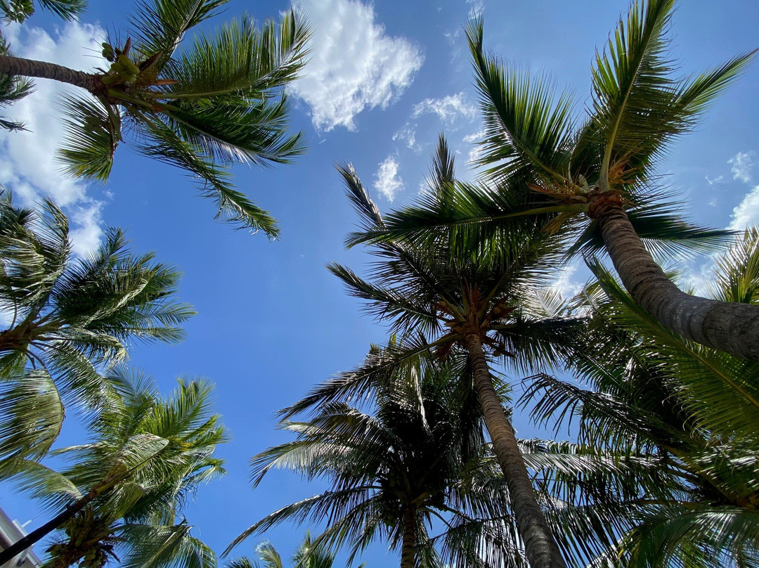 Gihan Tours Sri Lanka-瓦勒迦玛必去景点