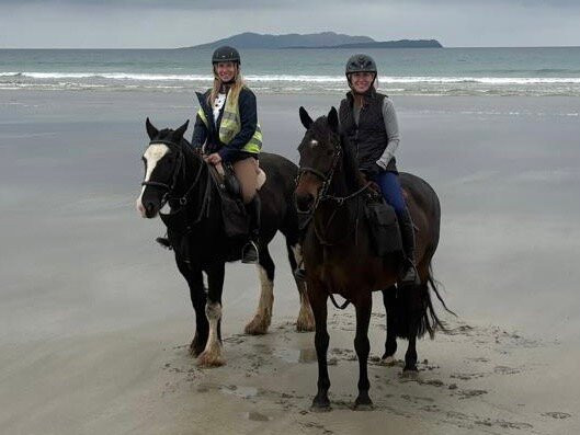 Drummindoo Stud-韦斯特波特必去景点