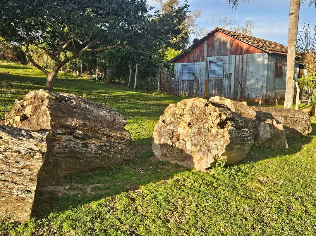 Jardim Paleobotânico de Mata-Mata必去景点