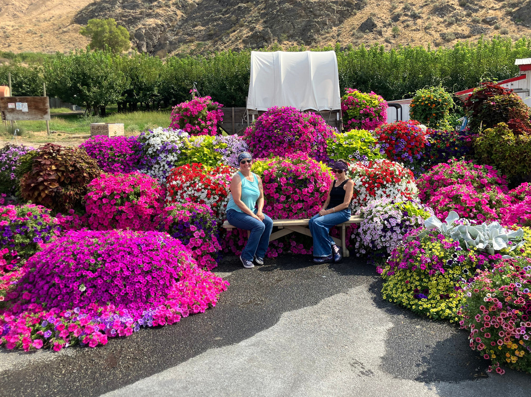 Wenatchee River County Park-Monitor必去景点