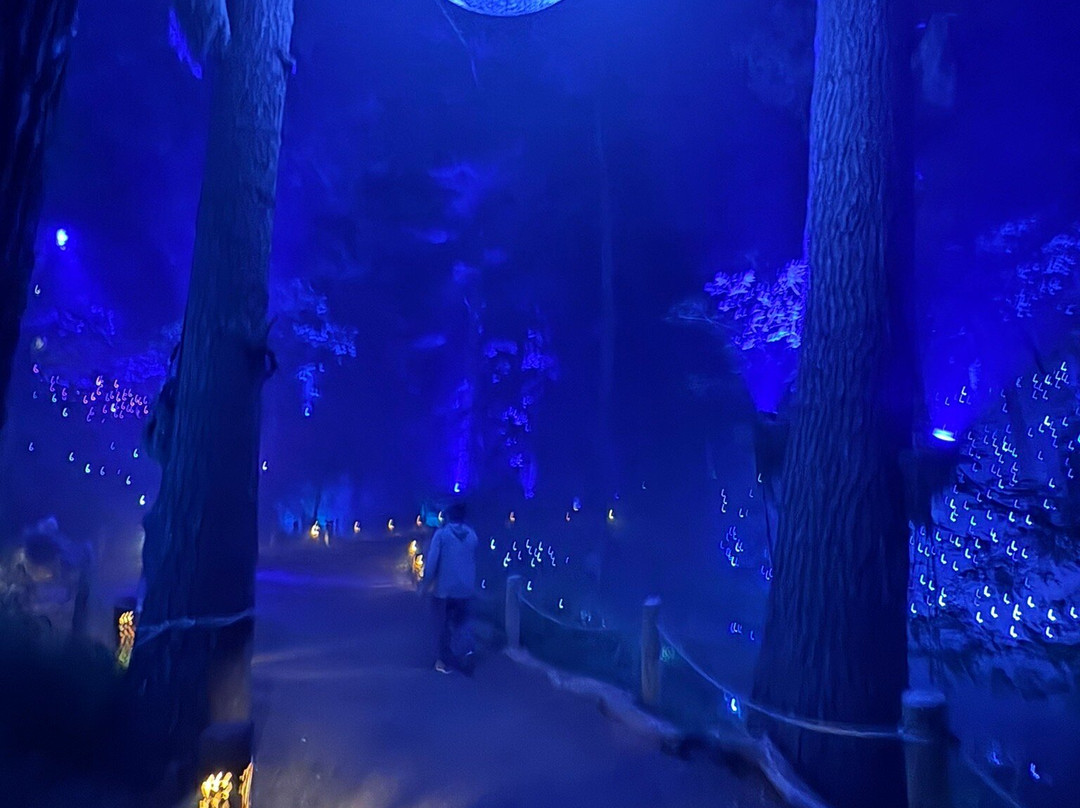 Aquavia Lumina-Lake Delton必去景点