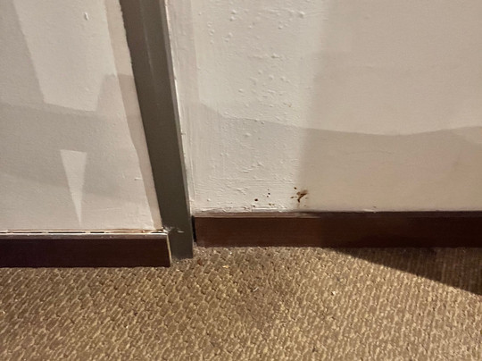 Hotel Eden Belabbes主图