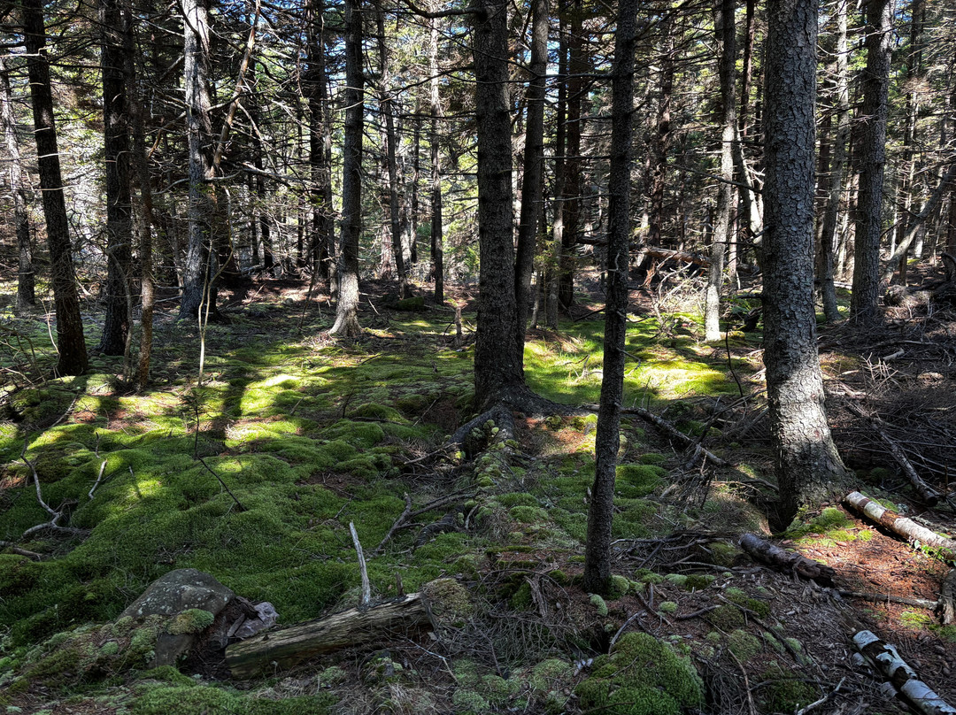 Hardy Boat Cruises-New Harbor必去景点