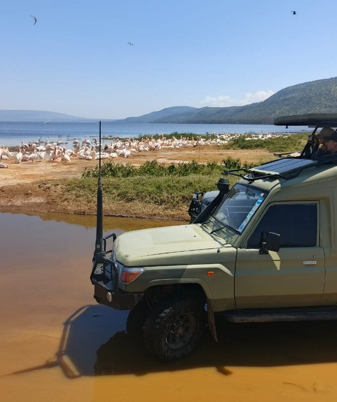 Joseph  Parsae-Amboseli Eco-system必去景点