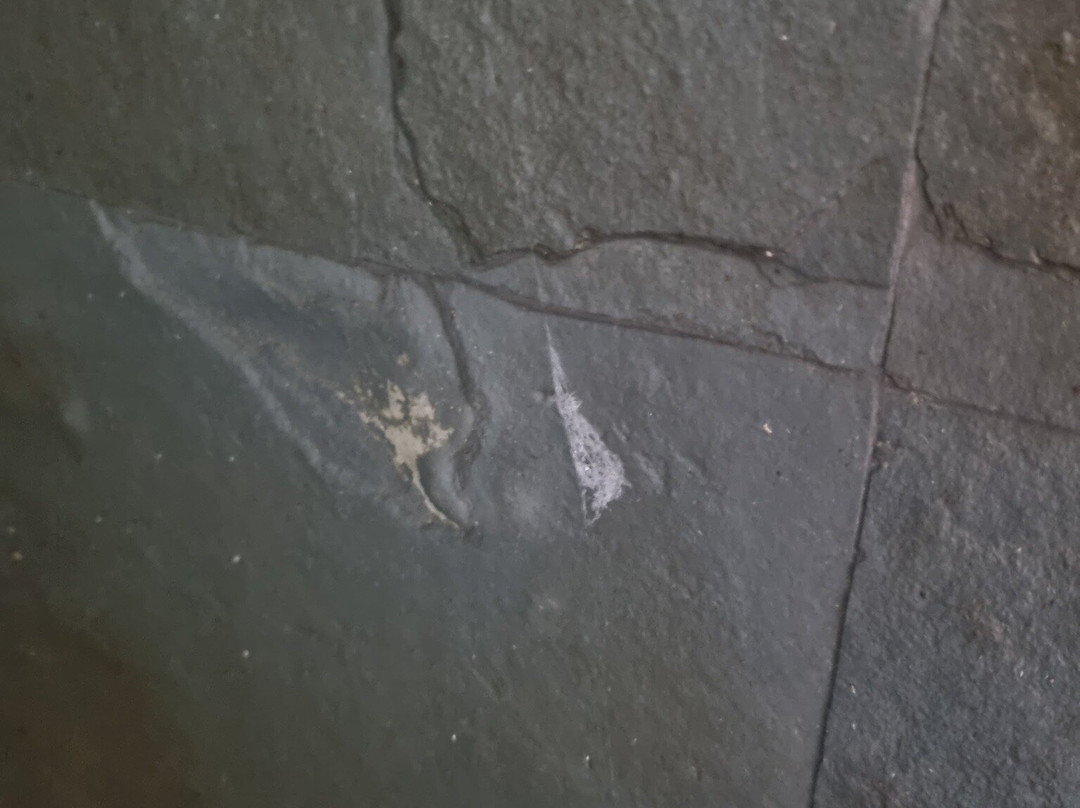 贝吉斯皮斯亚酒店主图