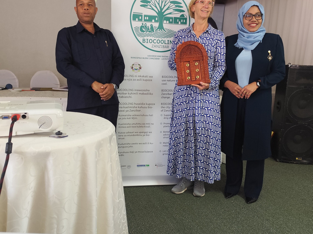 桑给巴尔海滩度假酒店主图