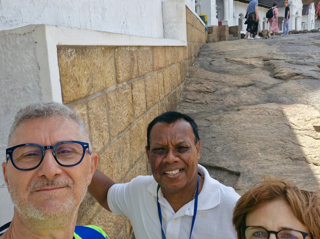 Sure Sri Lanka - Day Tours-科伦坡必去景点