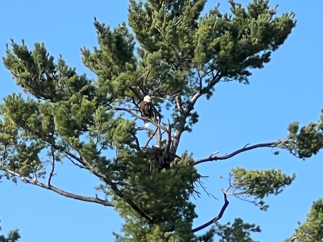 Madden's on Gull Lake主图