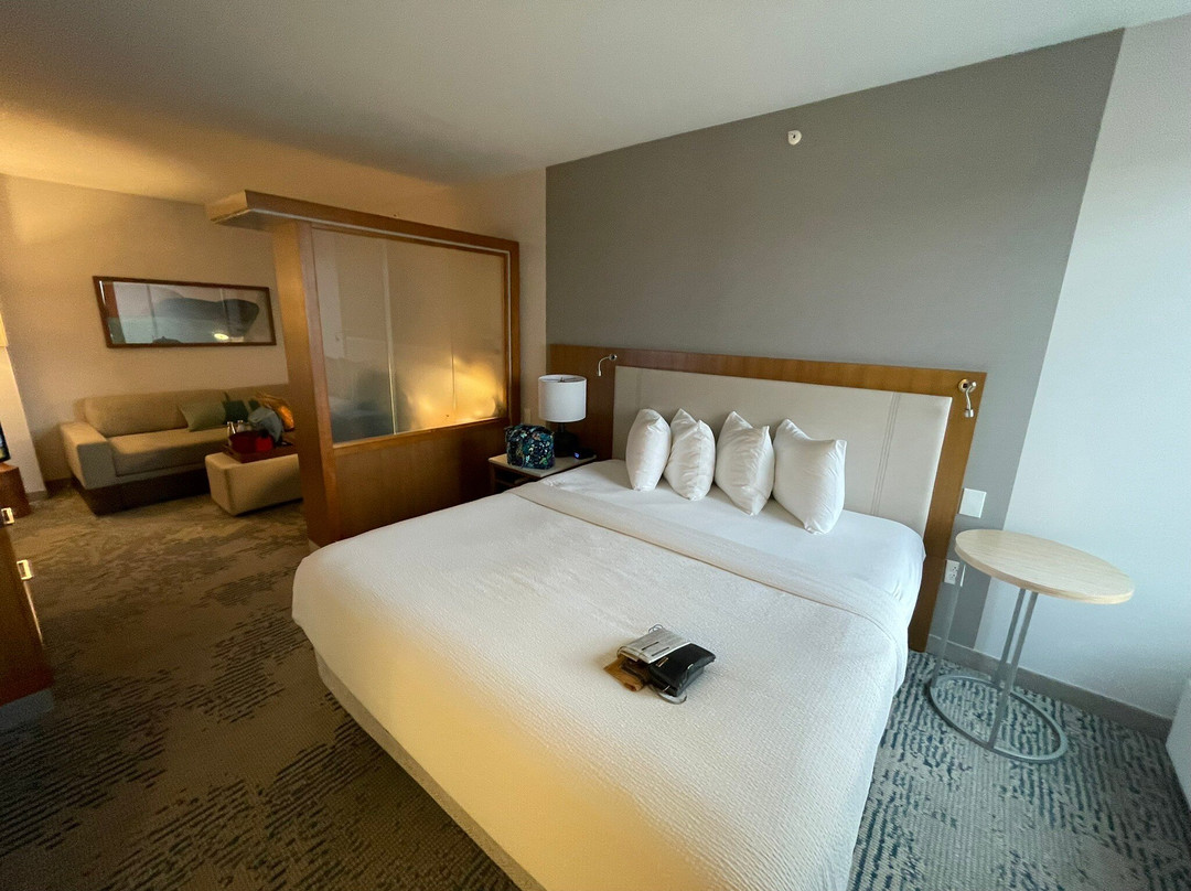 布法罗机场春季山丘套房酒店主图