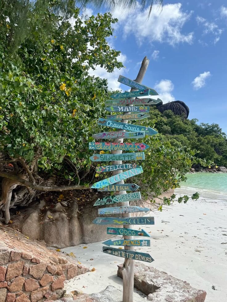 Club Med Seychelles-泳池