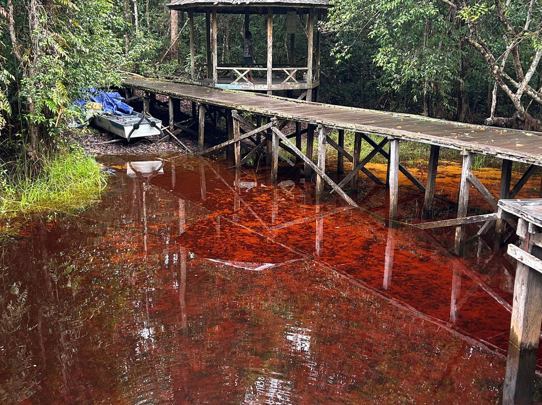 OrangutansHoliday-Pangkalan Bun必去景点