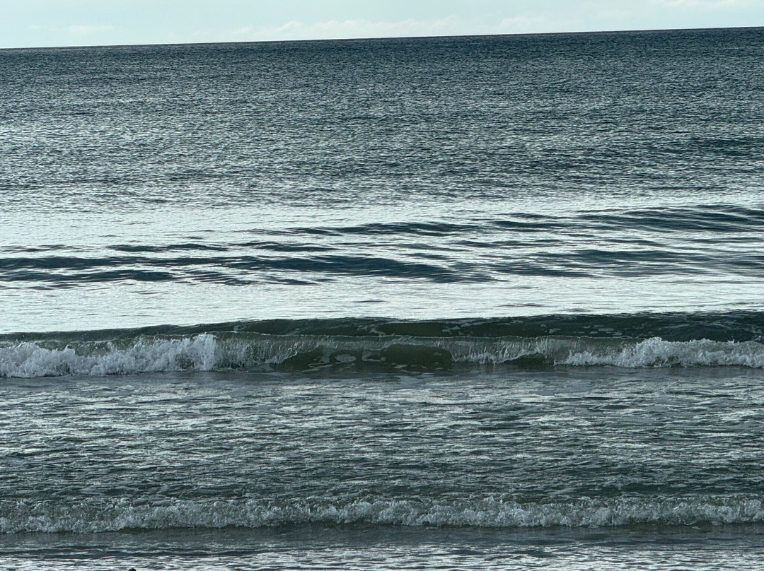 Indian Rocks Beach Access-Indian Rocks Beach必去景点