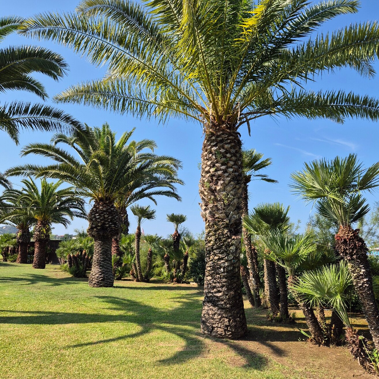 Hotel Airone - Isola d'Elba-官方