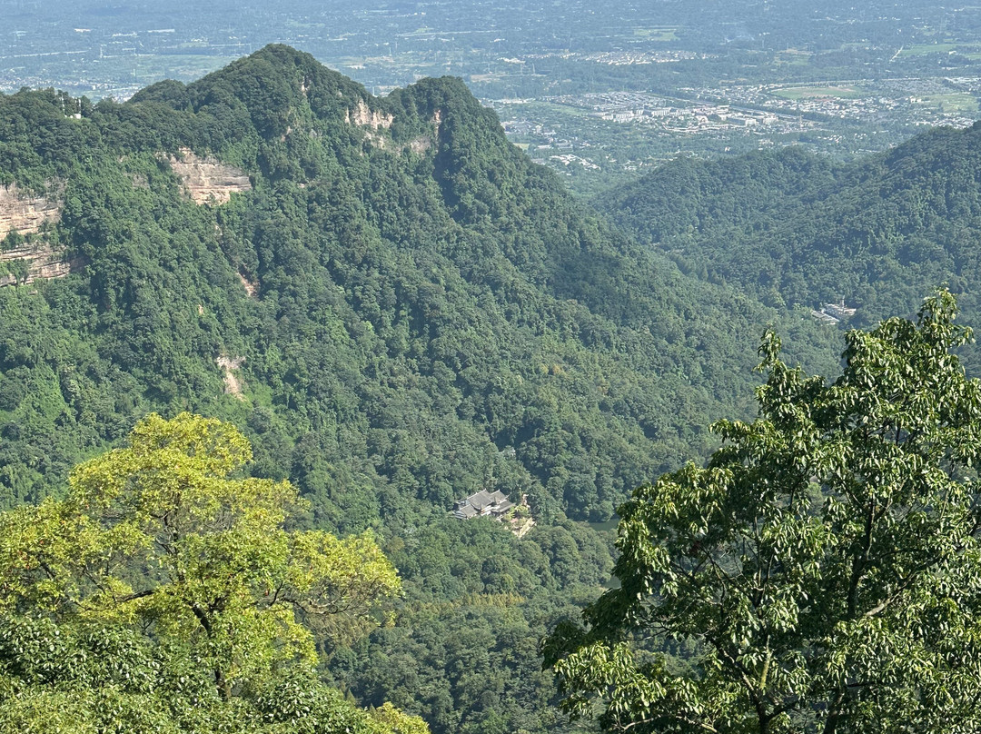 My Panda Tours-成都必去景点