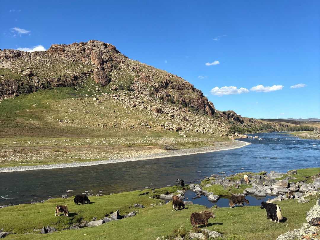 Camel Track-乌兰巴托必去景点