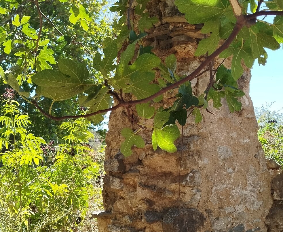 Cascadele Theologos-Theológos必去景点