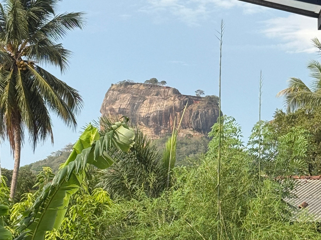 EMI Tours - Sri Lanka-Waikkal必去景点