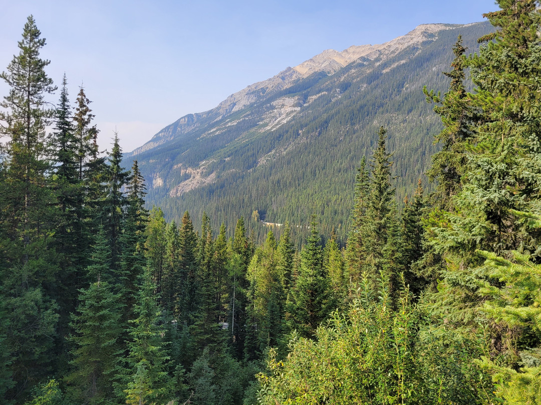 Lower Spiral Tunnels Viewpoint-幽鹤国家公园必去景点