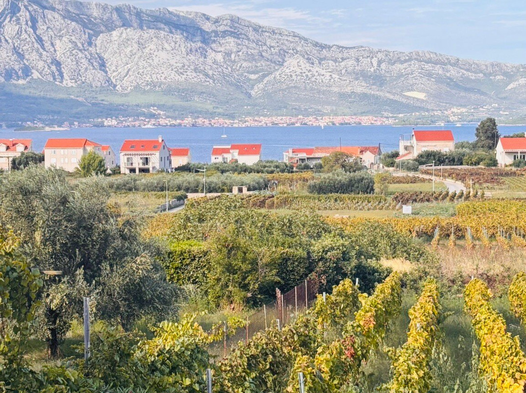 Popic Winery Lumbarda-伦巴达必去景点