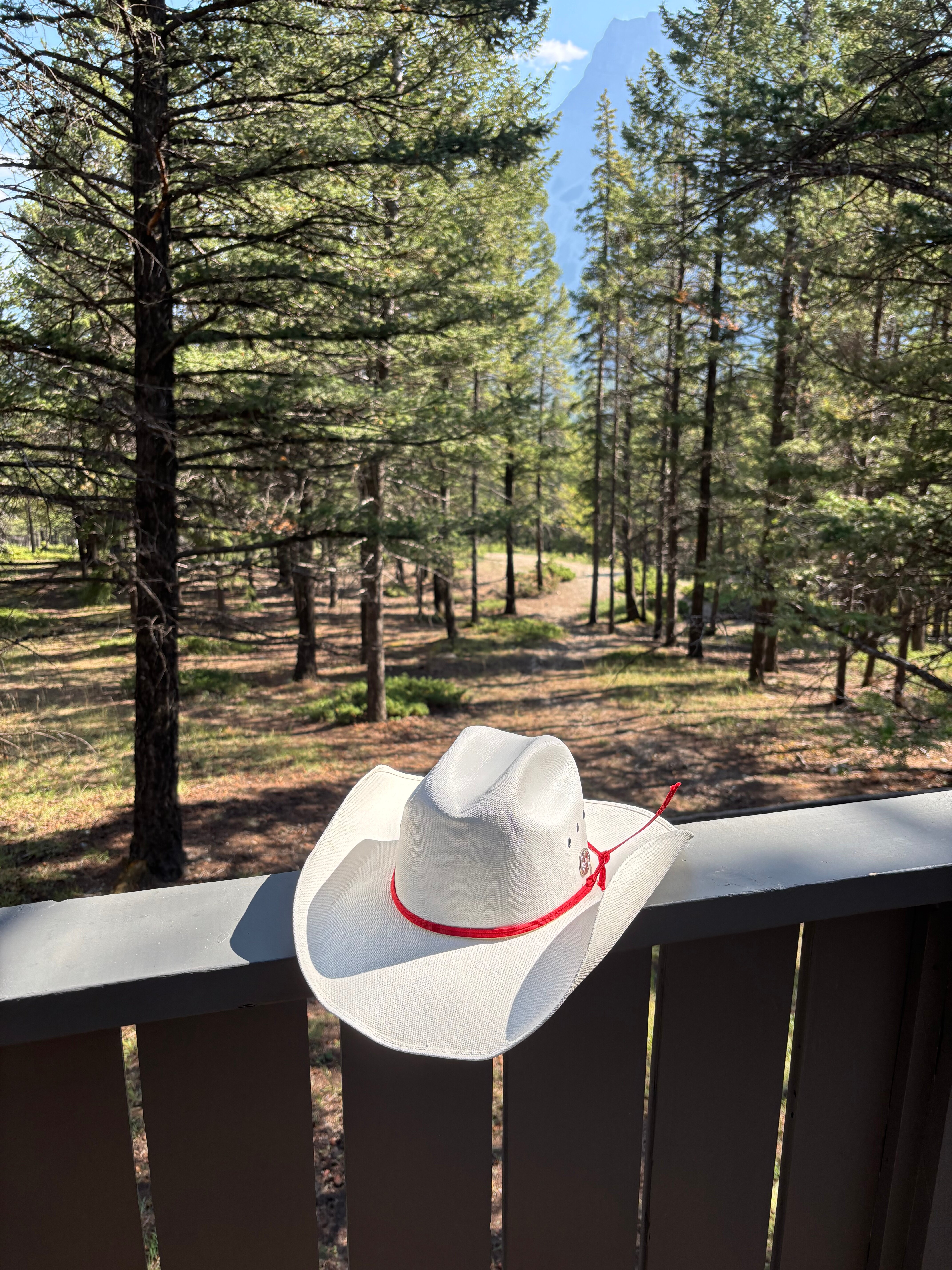 花旗松小屋度假酒店-官方