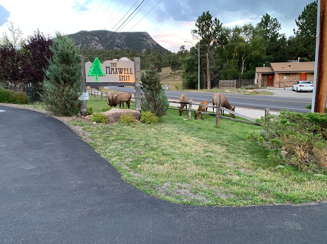 麦克斯韦尔酒店主图