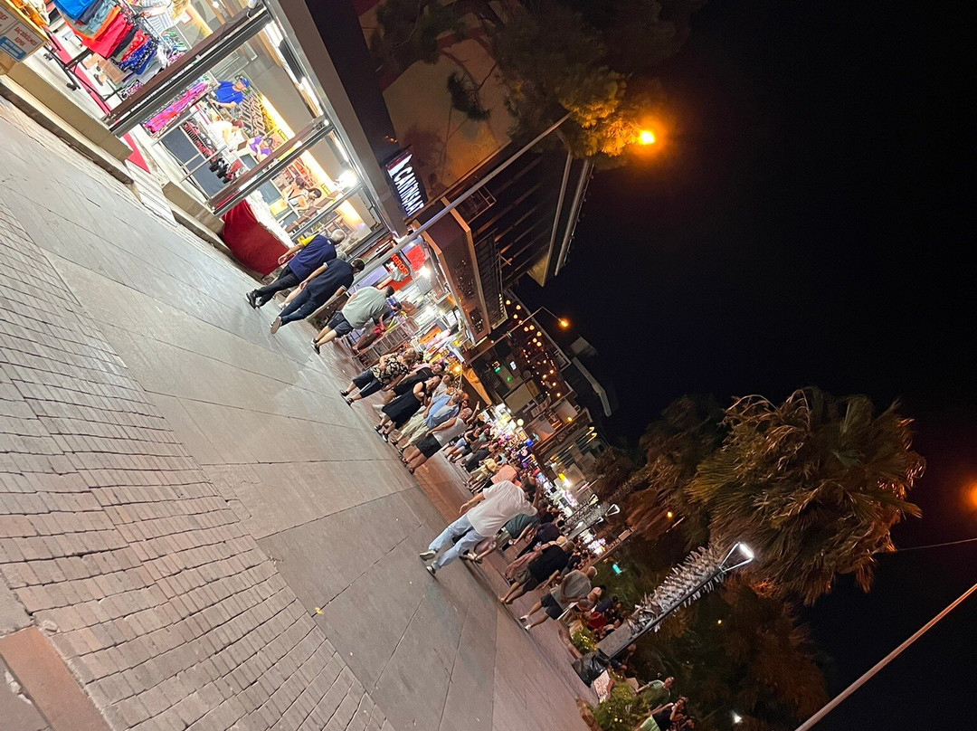 D-Marin Didim Marina-迪迪姆必去景点