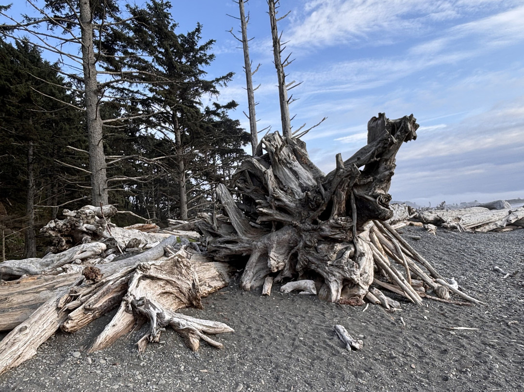 The Dew Drop Inn Motel主图