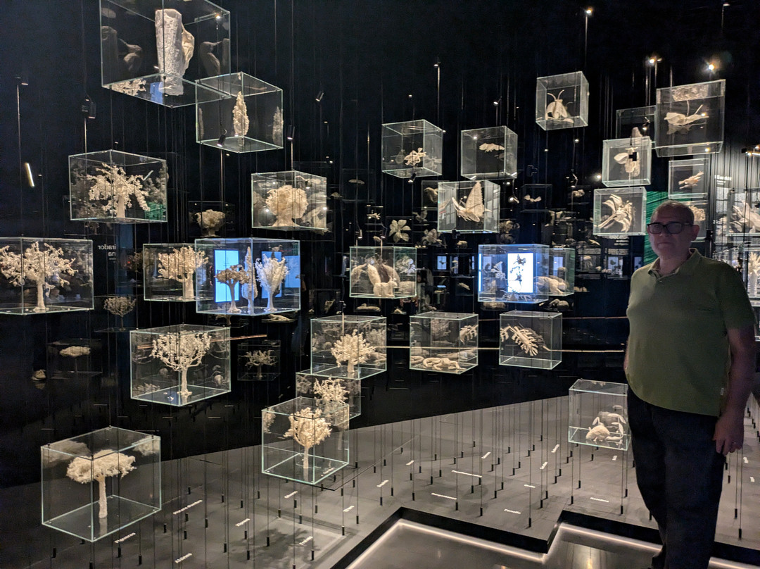 Mirador torre Glòries-巴塞罗那必去景点