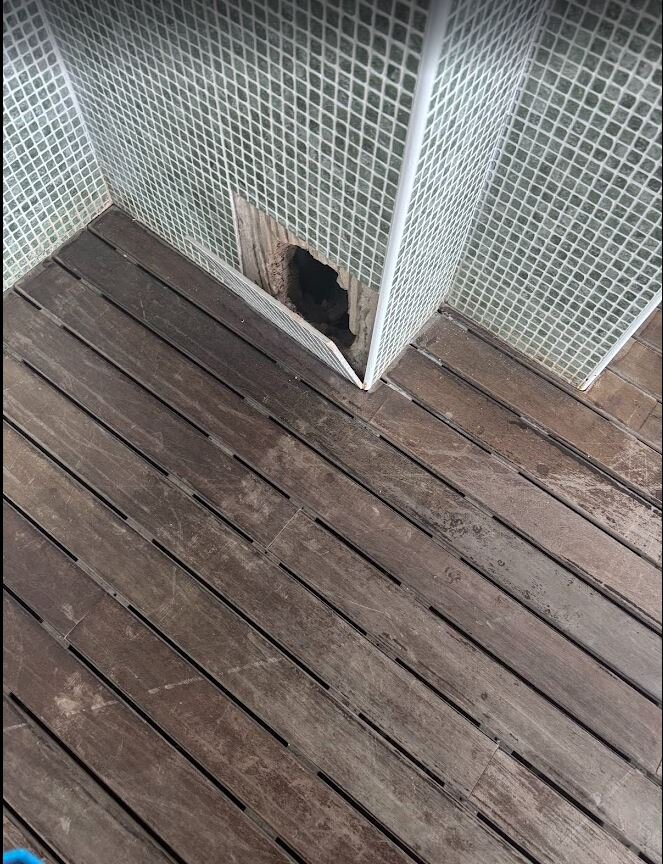 SBH Club Paraiso Playa-泳池