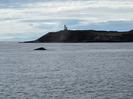 All Aboard Sailing-星期五港湾必去景点