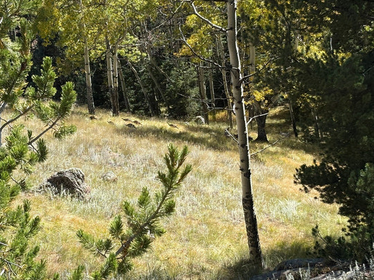 Mueller State Park-Divide必去景点