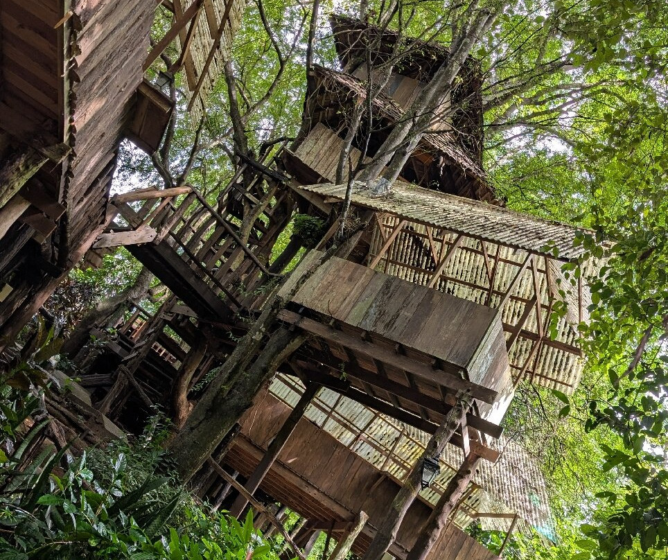 拉比昂帕萨克树屋度假村主图