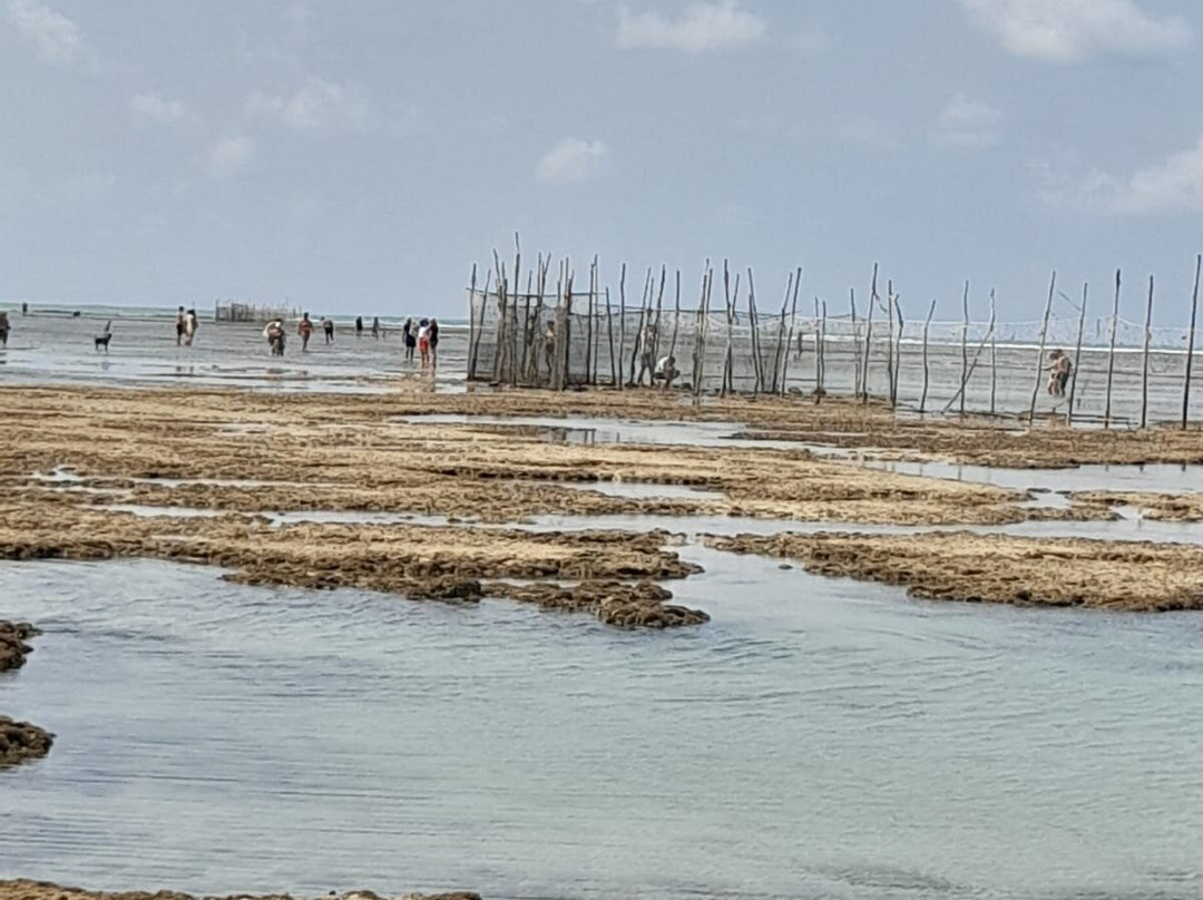 Farol da Ponta Verde-Maceio必去景点