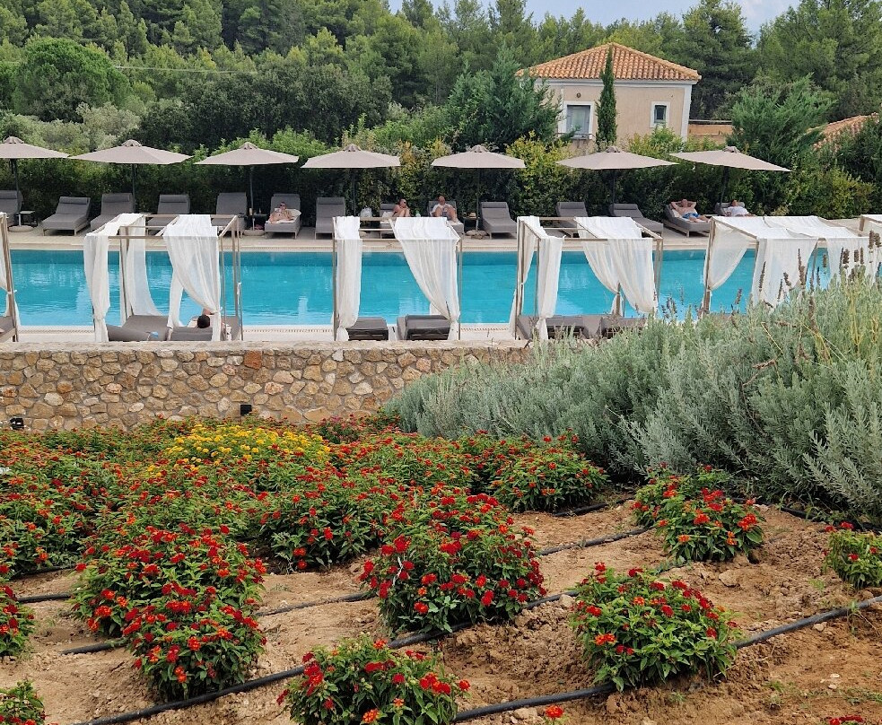 Celestial All Suites主图