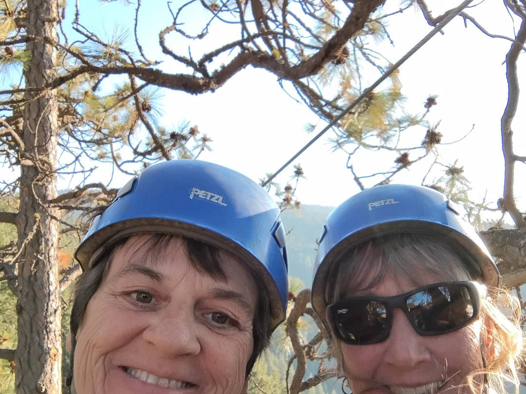 Timberline Adventures-科达伦必去景点