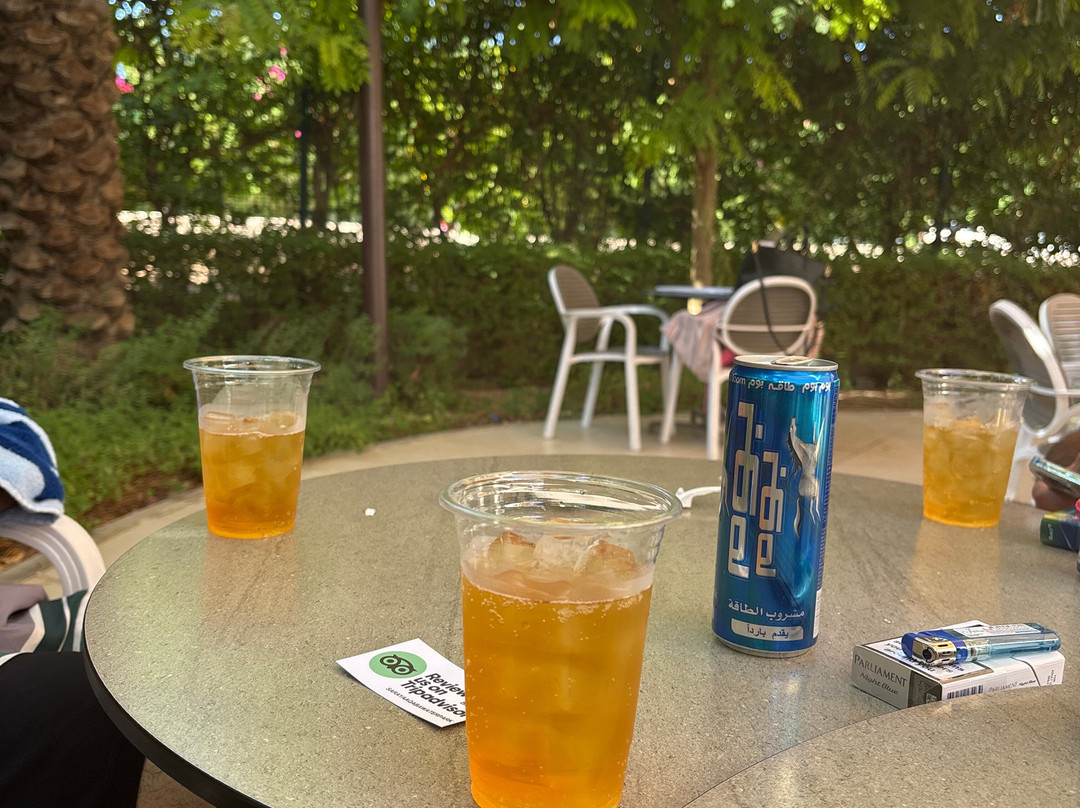 Saraya Aqaba Waterpark-亚喀巴必去景点