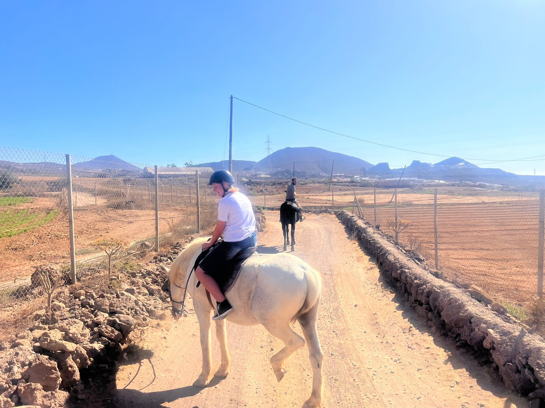 Horse Riding Adventures In Tenerife-圣米格尔德亚沃纳必去景点