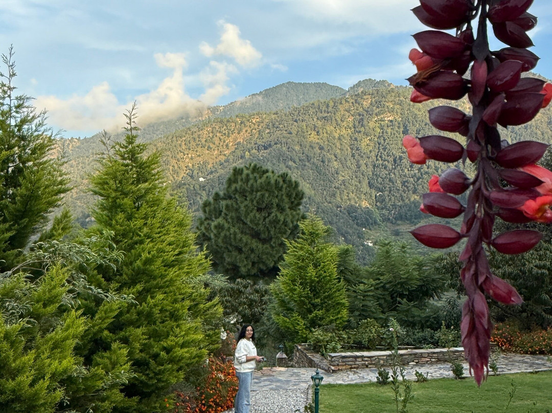 Seclude Ramgarh Willows主图