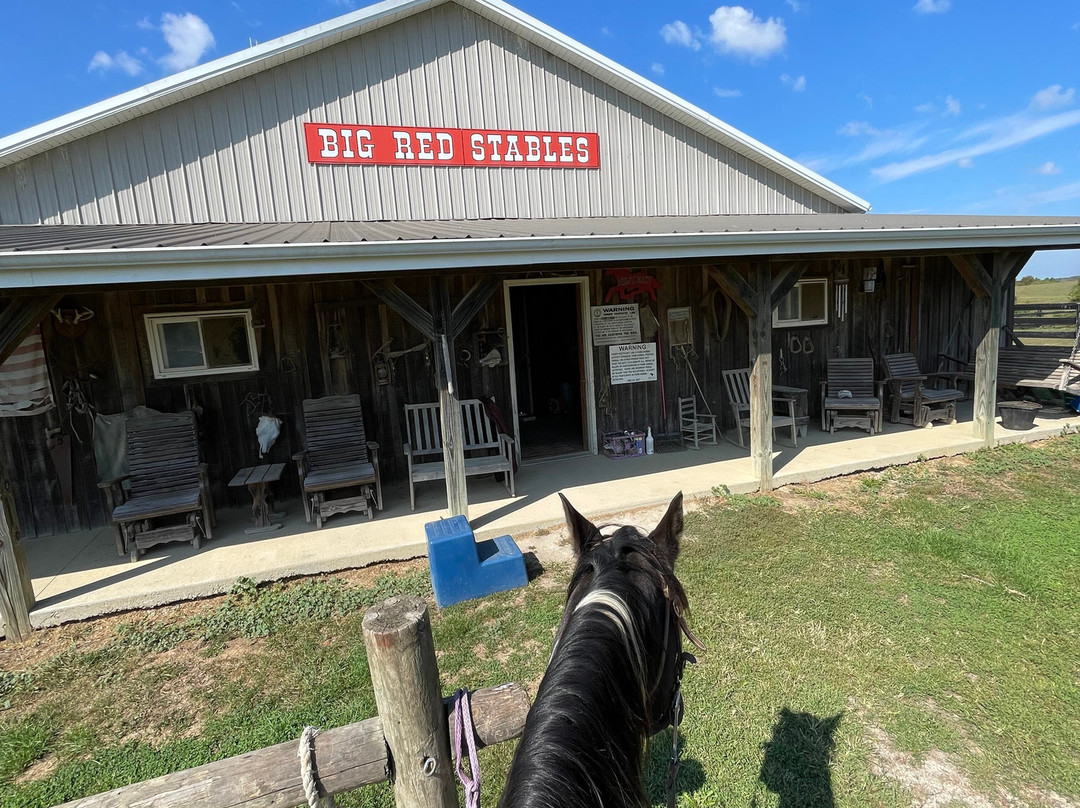 Big Red Stables-Harrodsburg必去景点