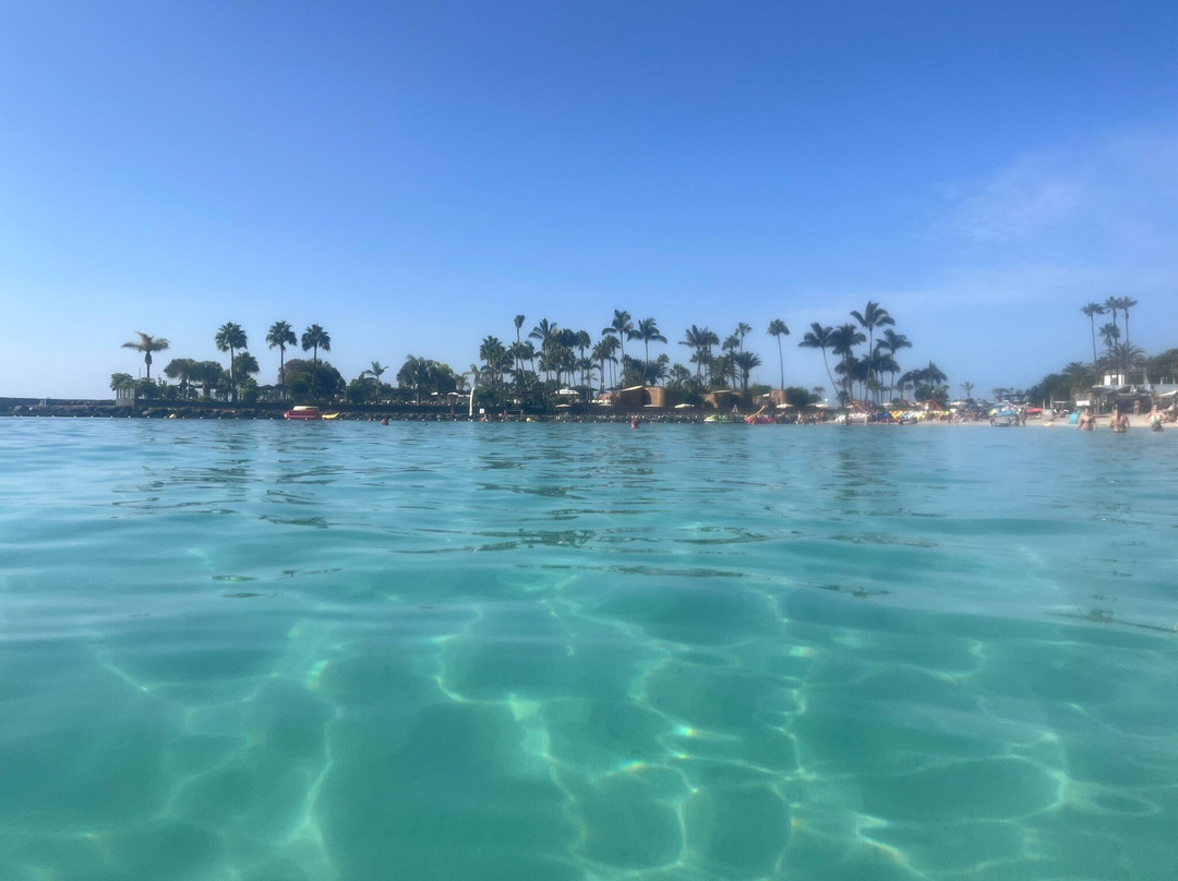 Anfi Playa-莫干山必去景点