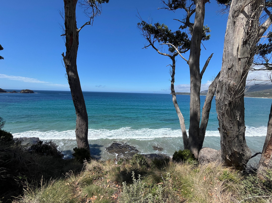 Tessellated Pavement-伊格尔霍克内克必去景点