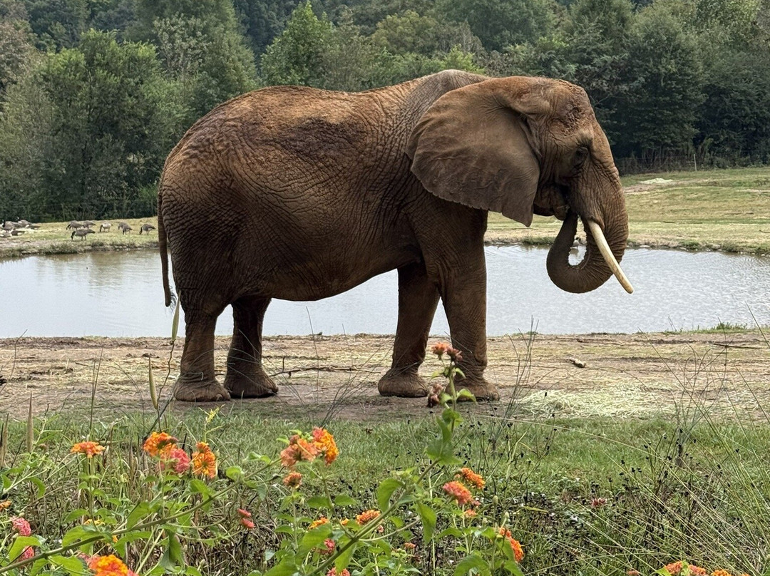 North Carolina Zoo-Asheboro必去景点