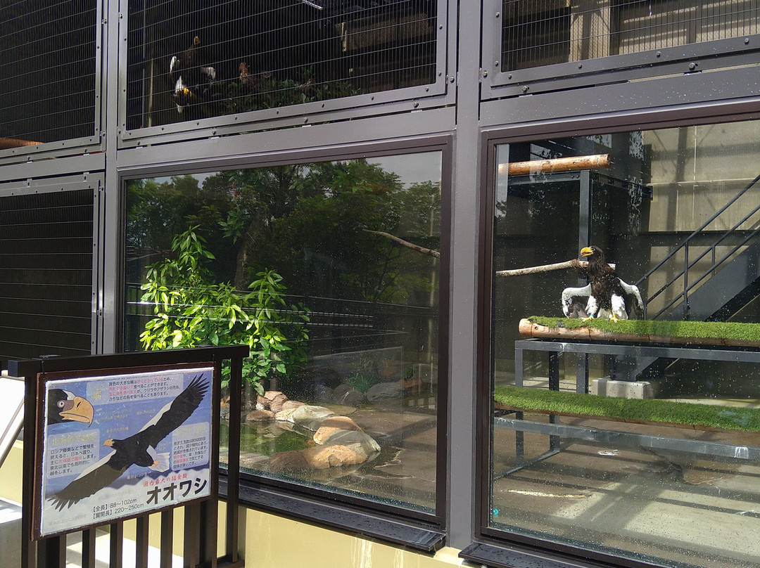 Hamamatsu Zoo logical Garden-滨松市必去景点