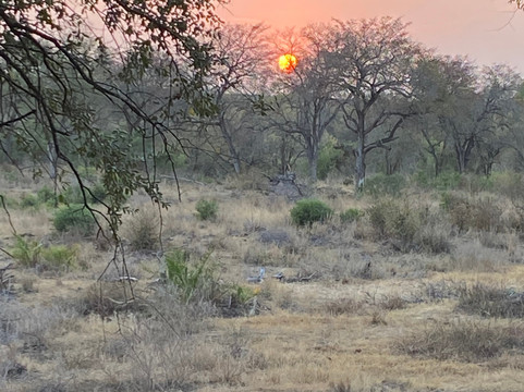 African Aerial Safaris-比勒陀利亚必去景点