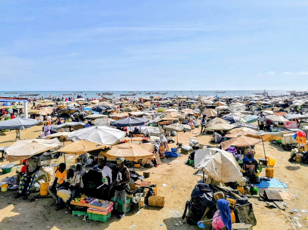 Yerim Tours Senegal-莫布瓦必去景点